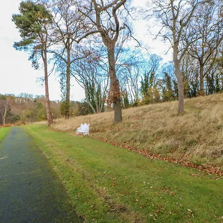 Bluebell * Saltburn-by-the-Sea