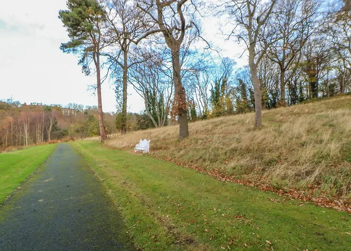Bluebell * Saltburn-by-the-Sea