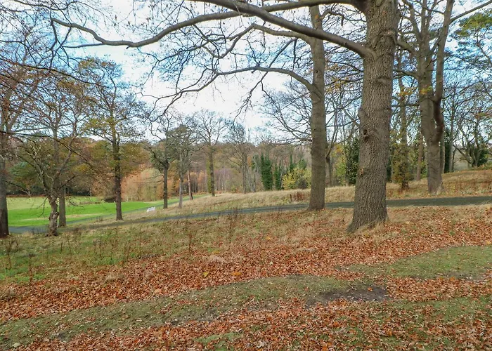 Bluebell * Saltburn-by-the-Sea