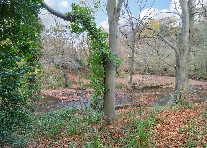 Bluebell Casa vacanze