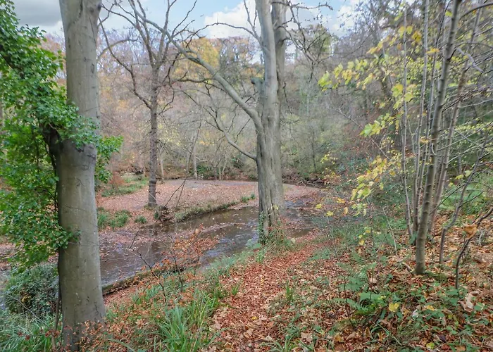 Bluebell Casa vacanze *