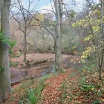 Bluebell Holiday home *